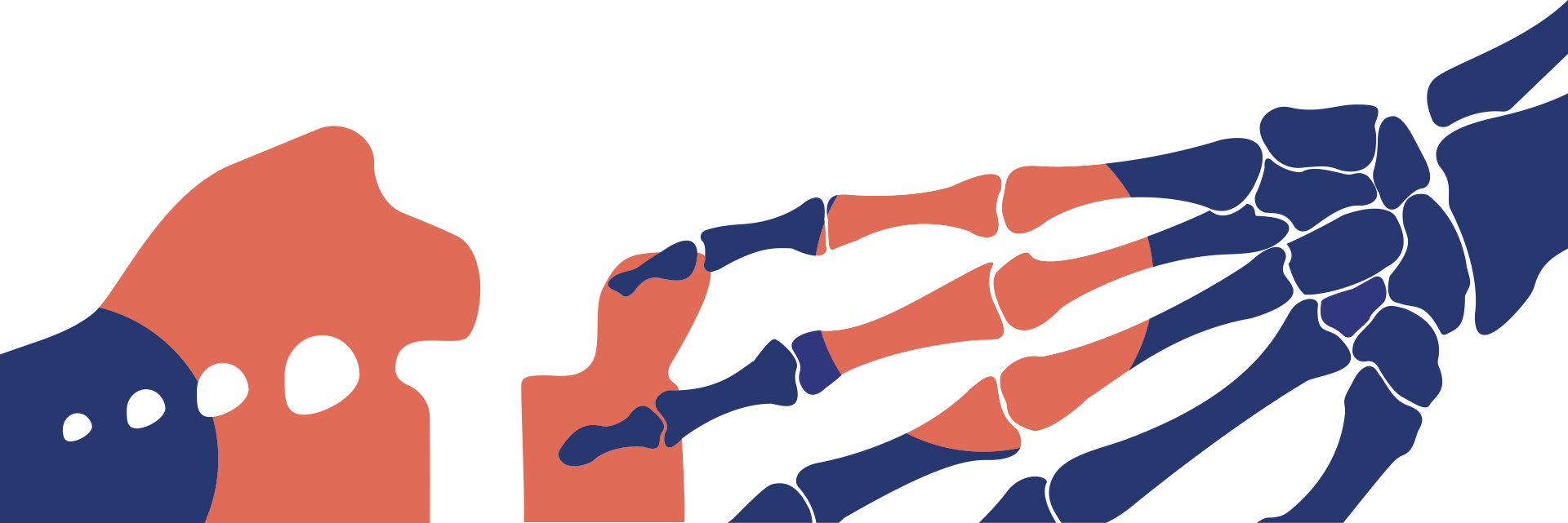 Illustrazione Ozonoterapia